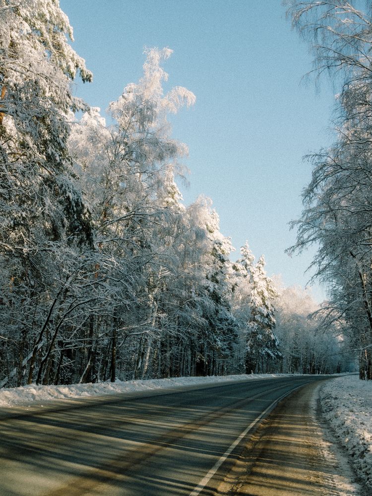 Photograph by Городничева Елена