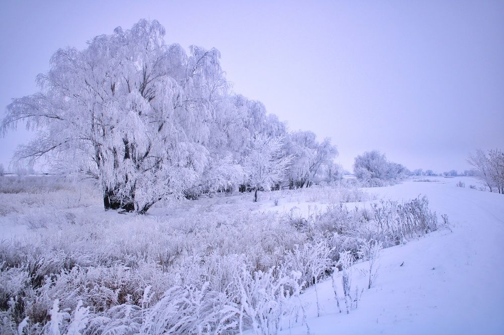 Photograph by Гульжан Шарипова