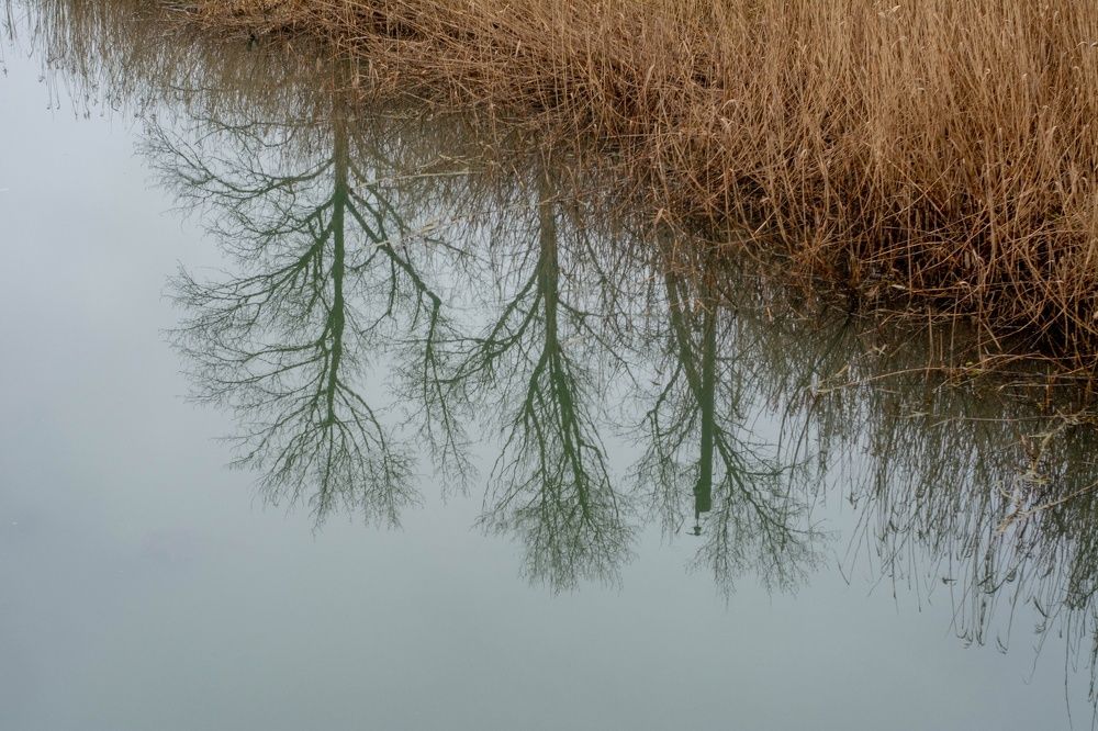 Photograph by Александр Лобынцев