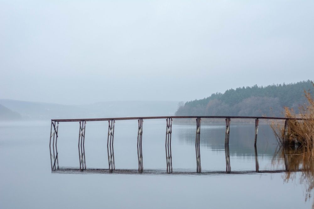 Photograph by Александр Лобынцев