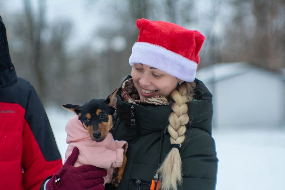 Photograph by Александр Лобынцев