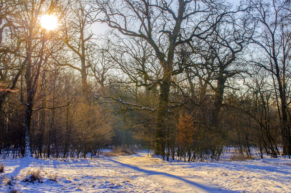 Photograph by Евгений Каримов