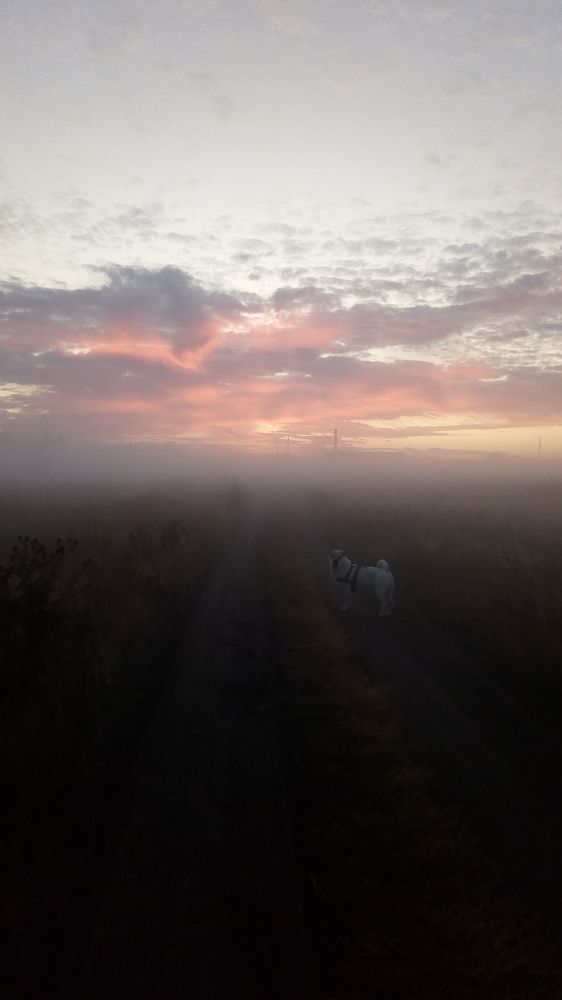 Photograph by Наталья Орлянская