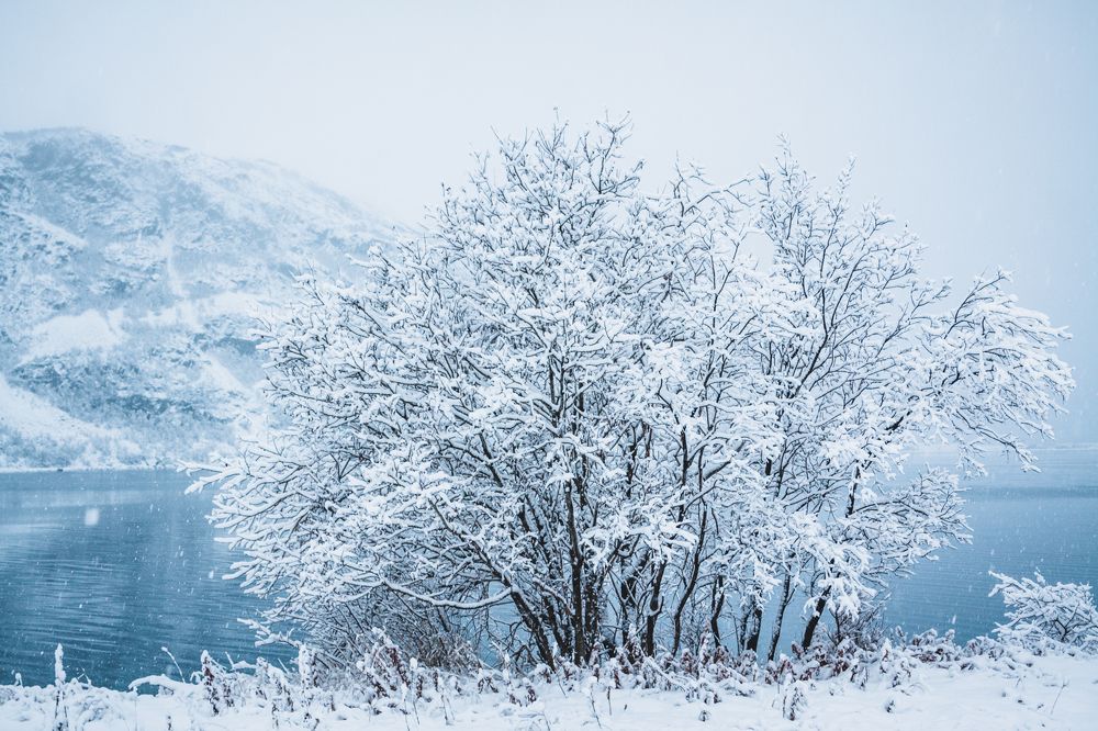 Фотография автора Андрей Русских