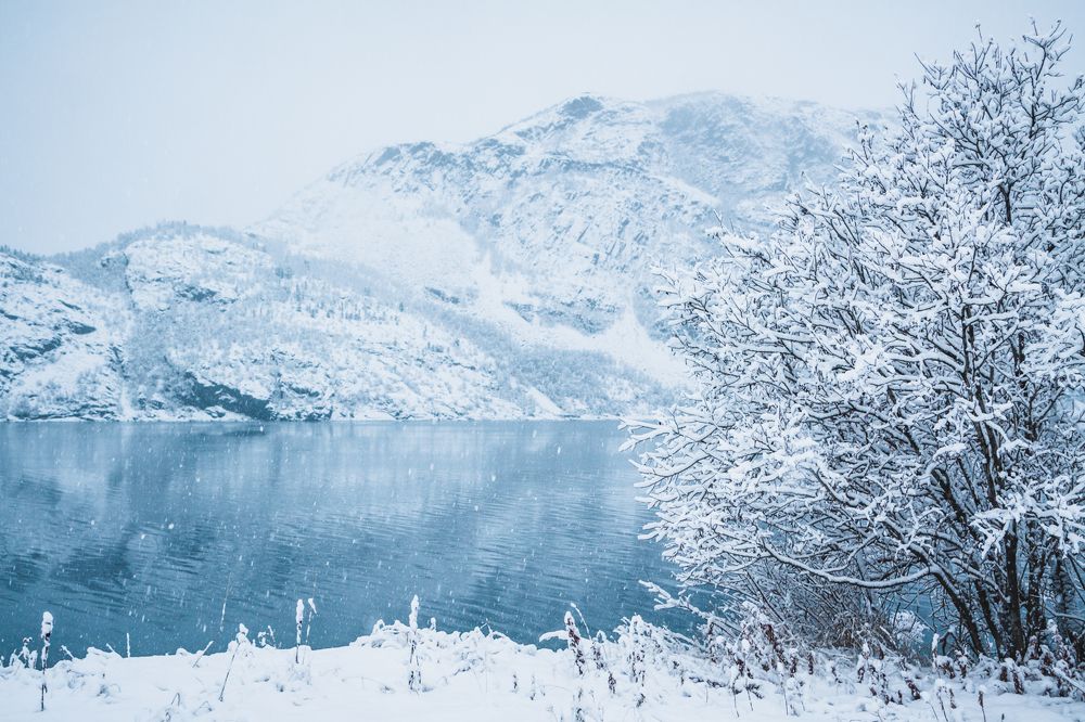 Фотография автора Андрей Русских
