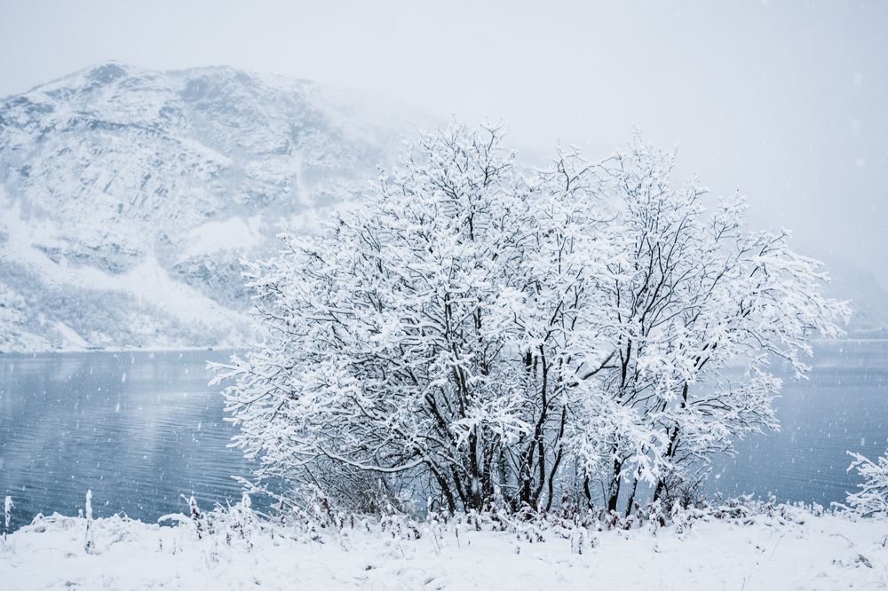 Фотография автора Андрей Русских