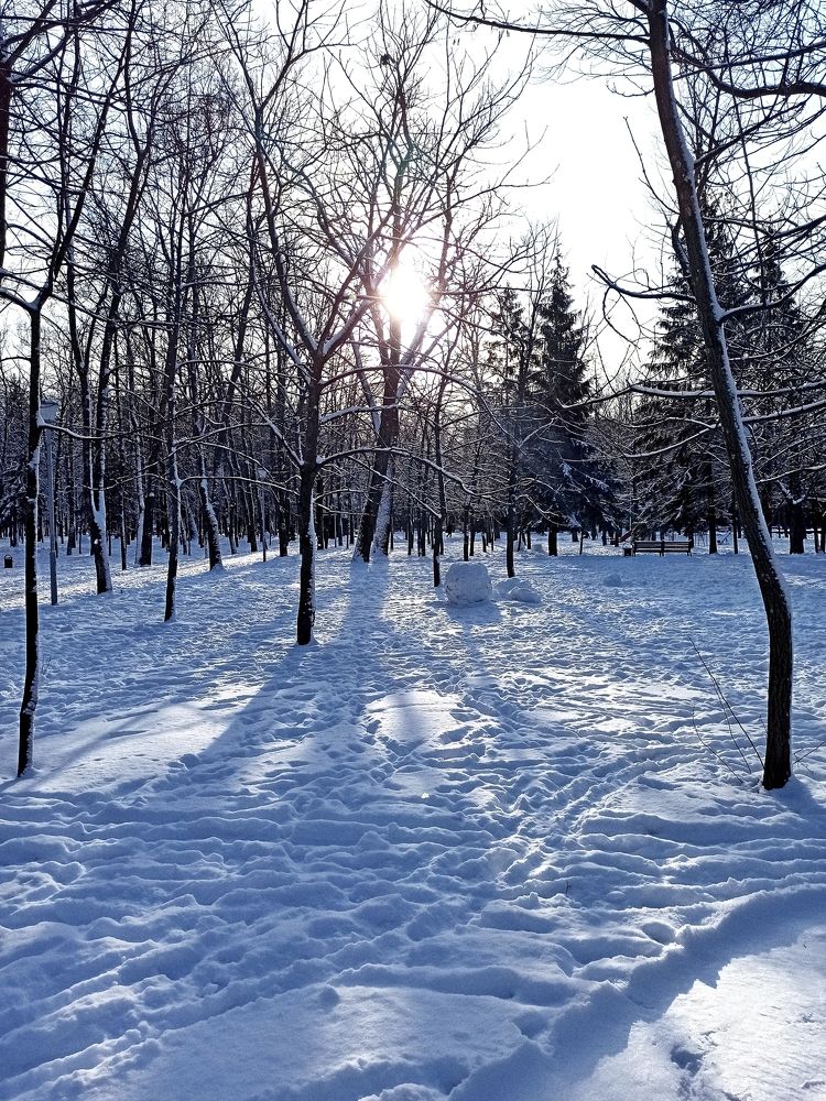 Photograph by Вера Родионова