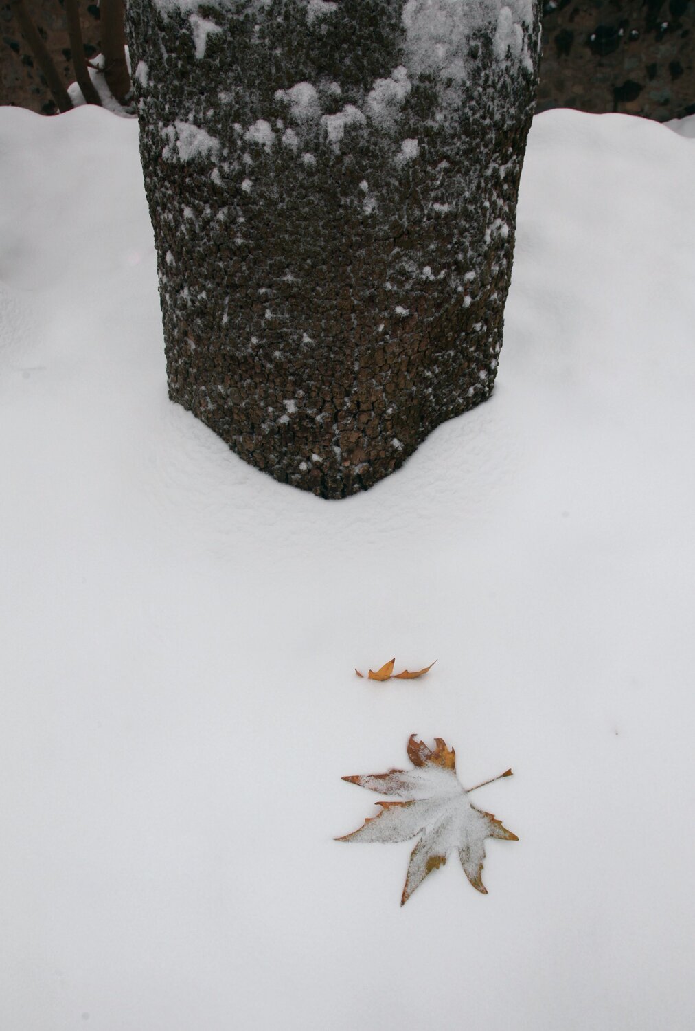 Photo #6920984
