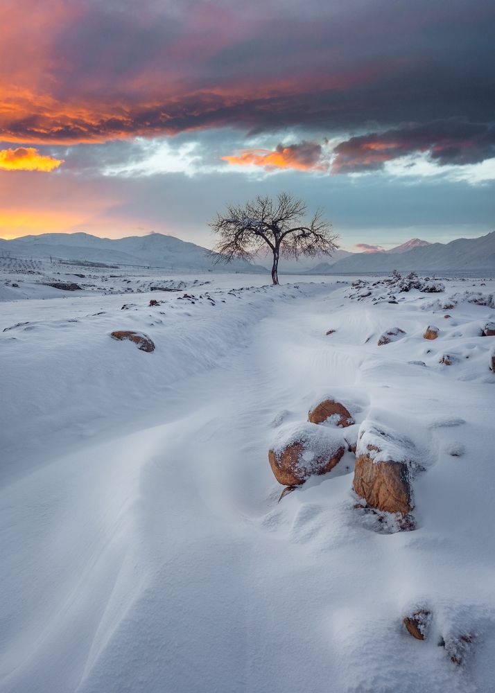 Фотография автора majid arab