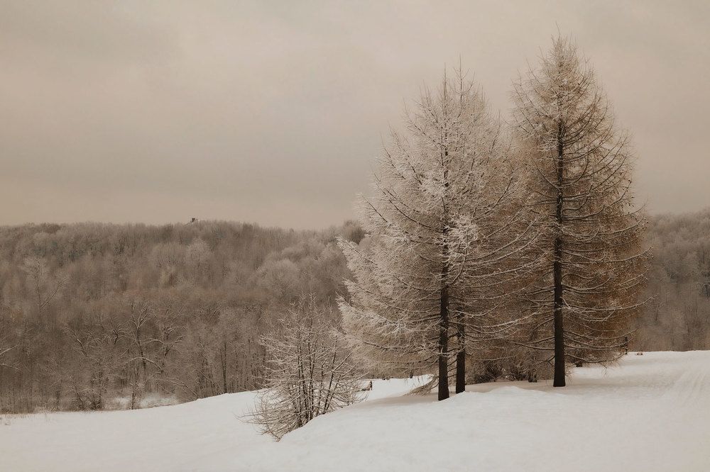 Photograph by Ирина Столбовая