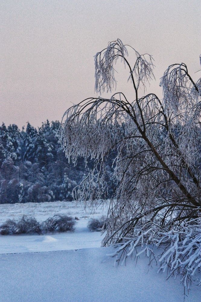 Photograph by Svetlana Degtyareva