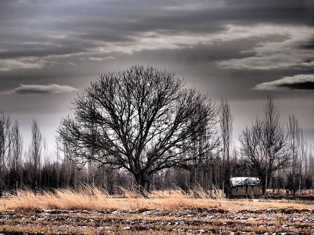 Photograph by Farid Ataei