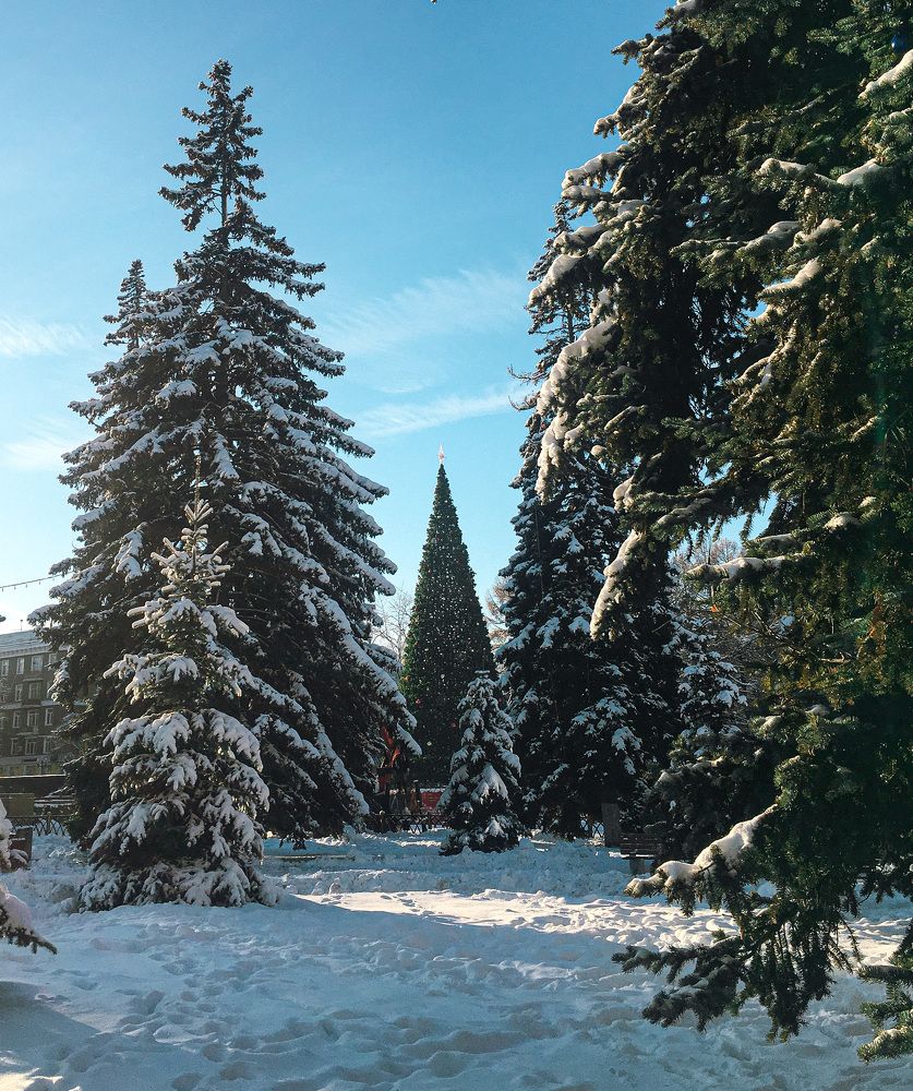 Photograph by Татьяна