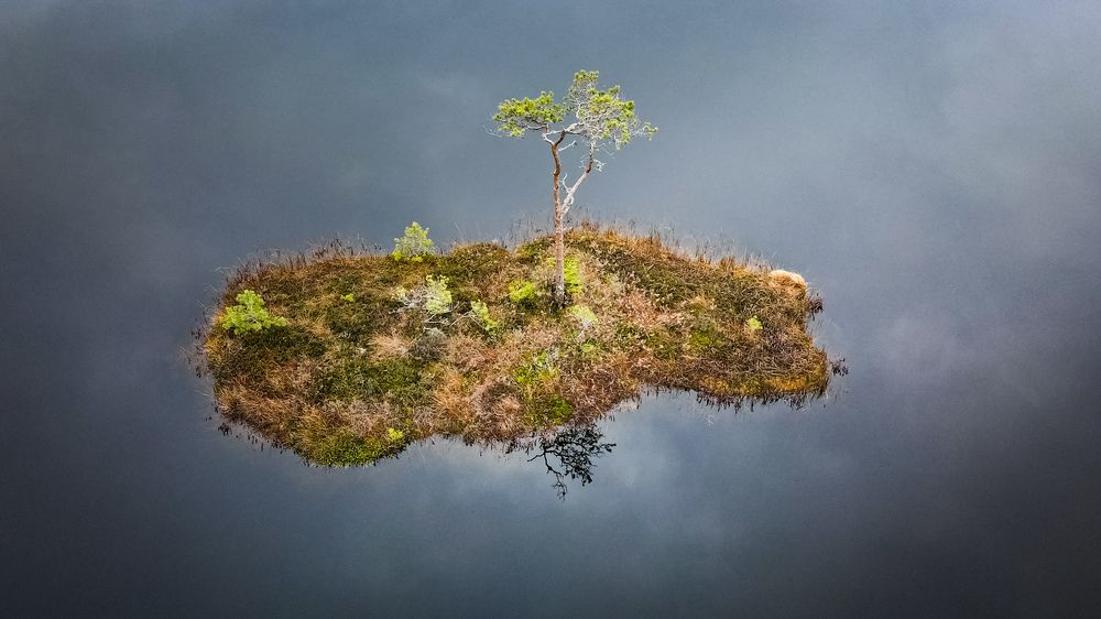 Photograph by sergei shumski