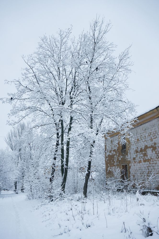 Photograph by Людмила Березнякова