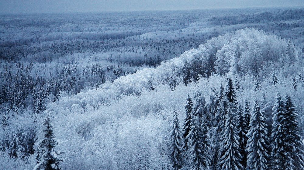 Photograph by Наталья Загайнова