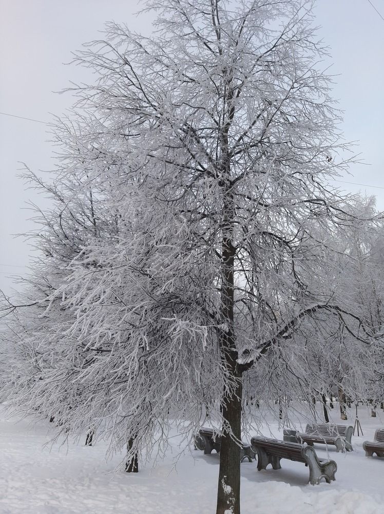 Фотография автора Светлана Дунаева