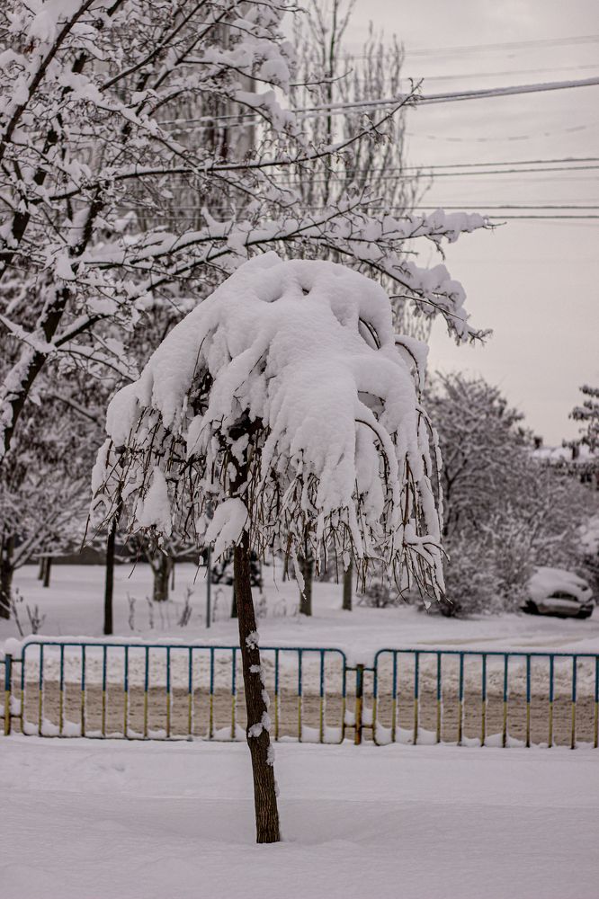 Photograph by Таисия Стафеева