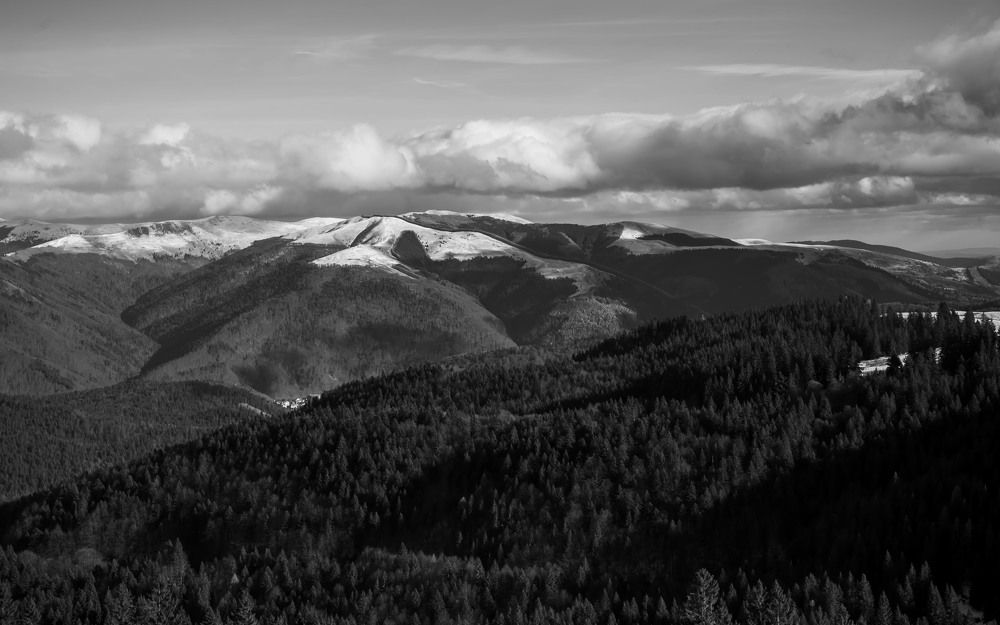 Photograph by Enescu Mihaela