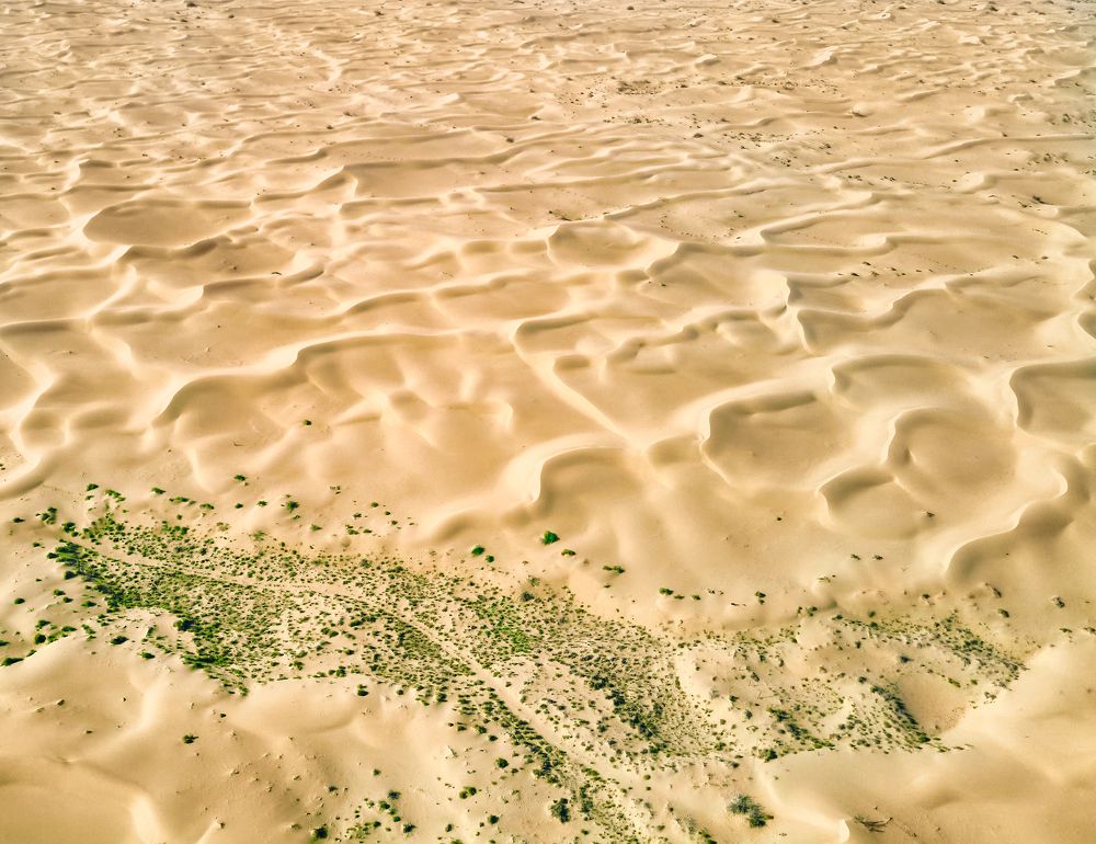 Photograph by Андрей Ершов