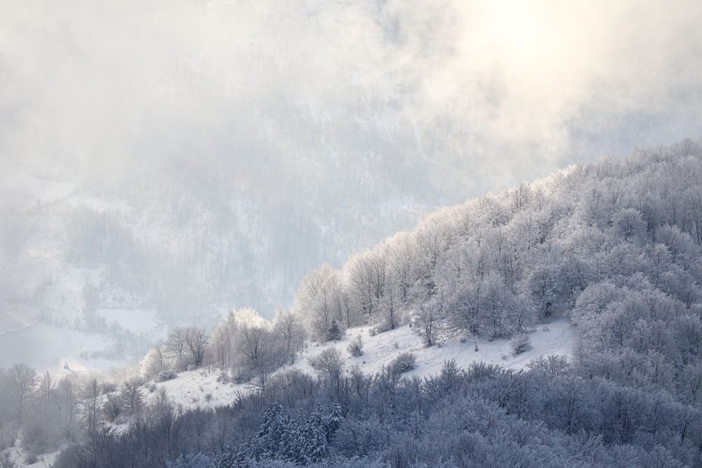 Photograph by George Alexandru Ghiuro