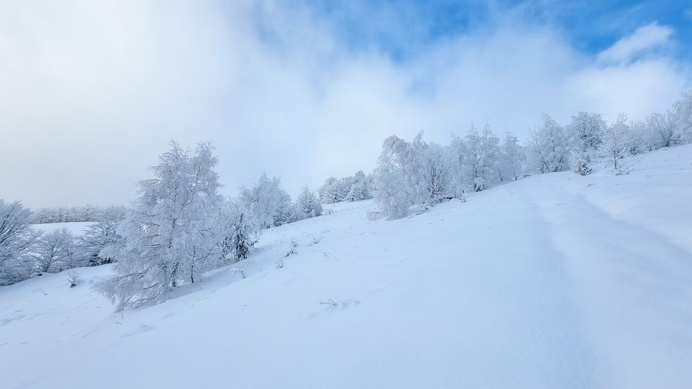 Photograph by George Alexandru Ghiuro