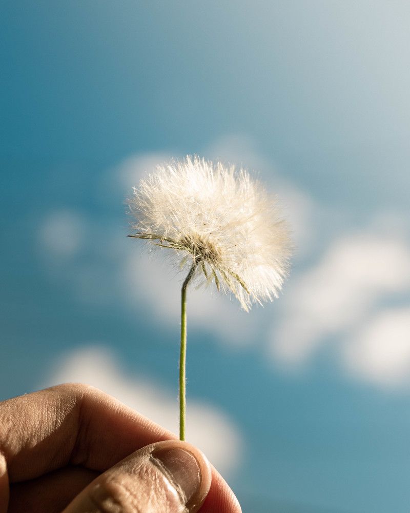 Фотография автора Andre Barbosa