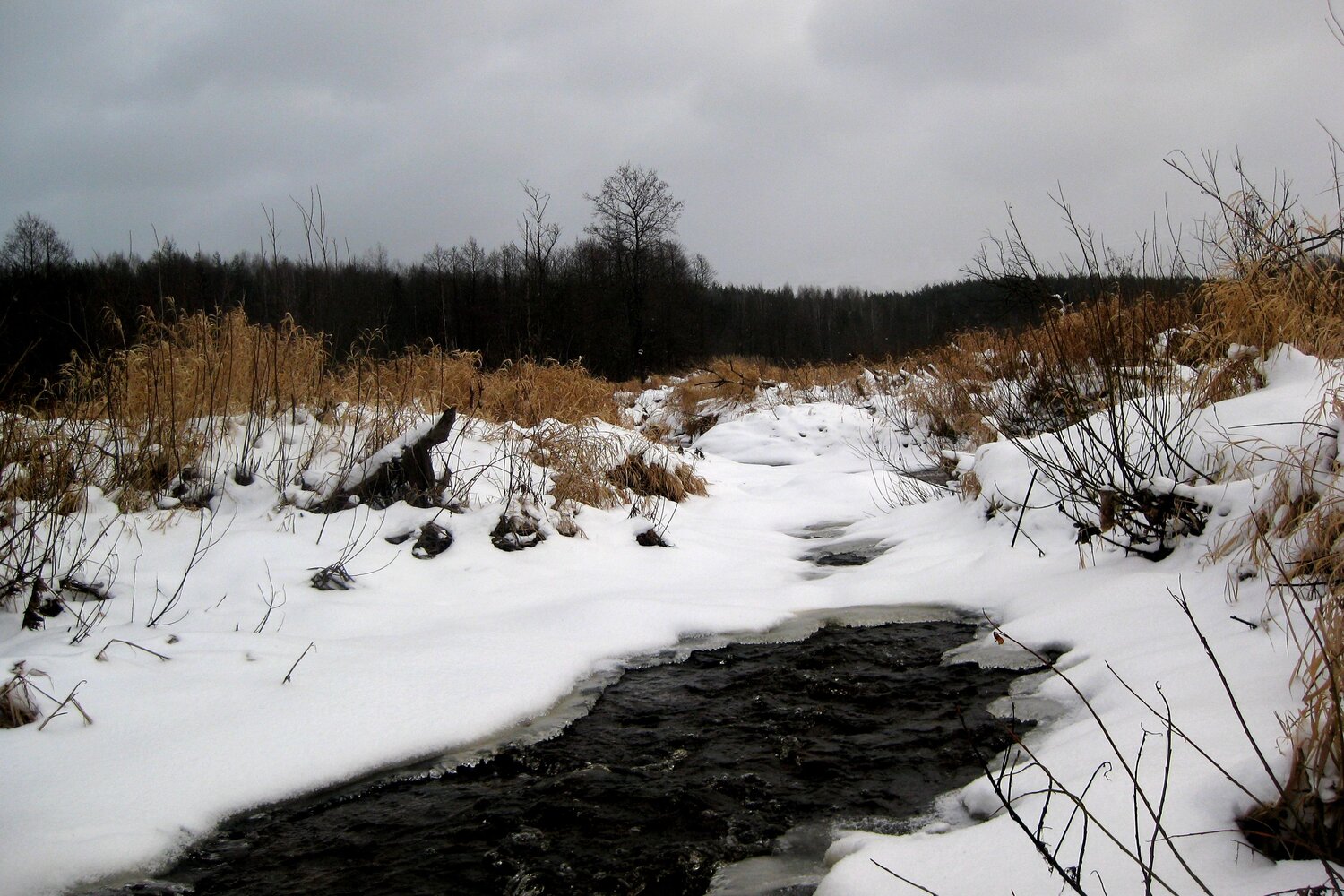 Photo #6921665