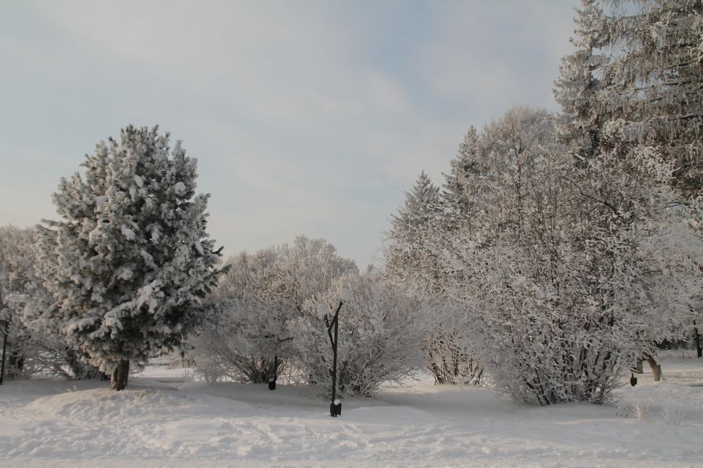 Photograph by Артем Илошваи