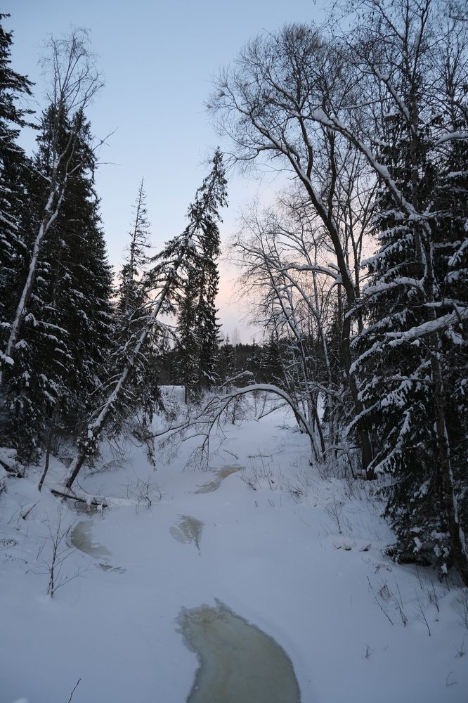 Photograph by Алексей Коровин