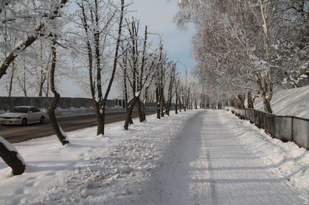 Photograph by Артем Илошваи