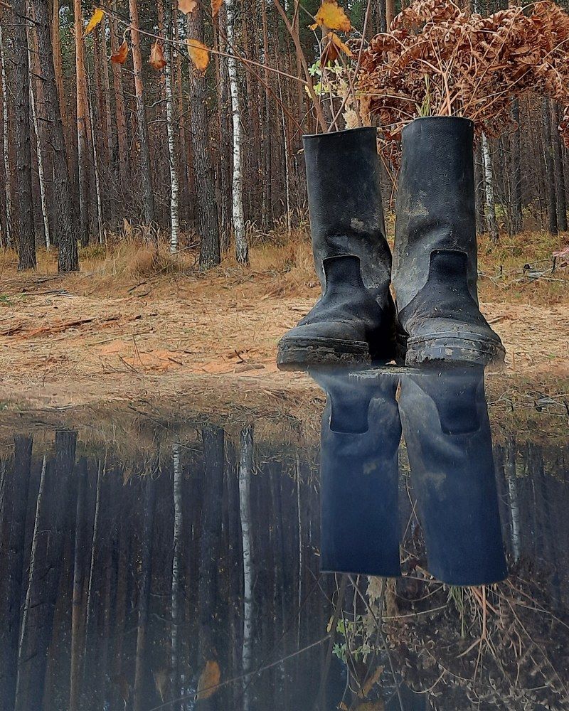 Photograph by Светлана Моисеева