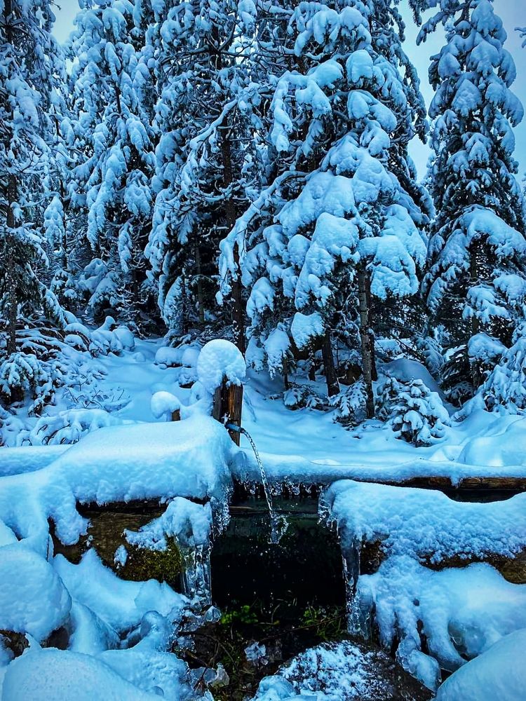 Photograph by Shaiban Albasha