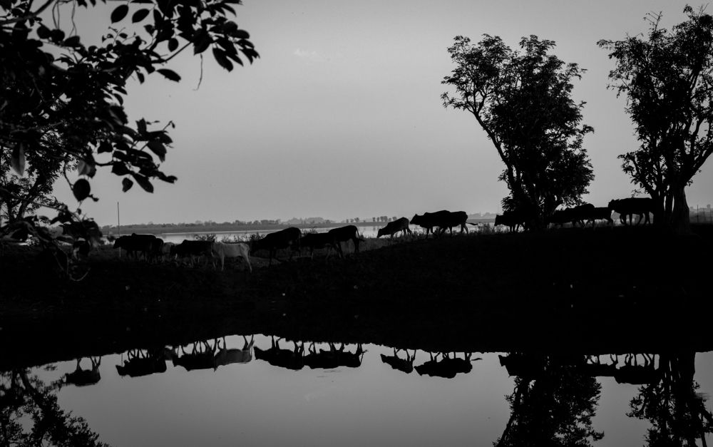 Photograph by Fardeen Sadab