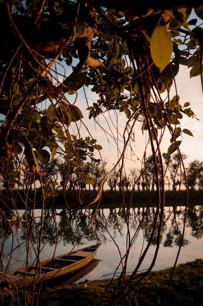 Photograph by Fardeen Sadab