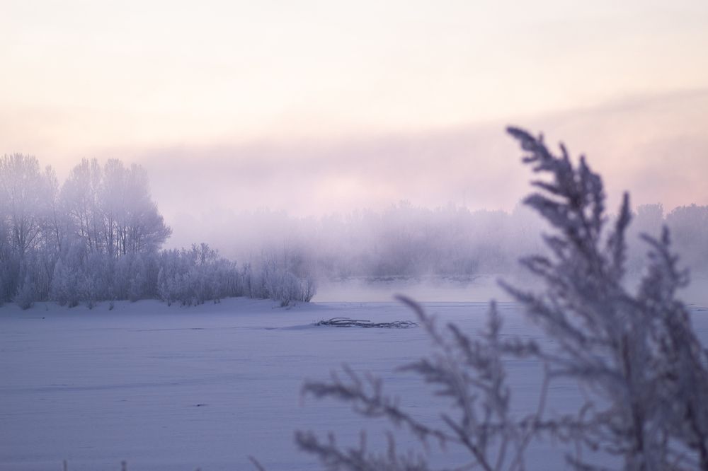 Photograph by Ирина Лаврова