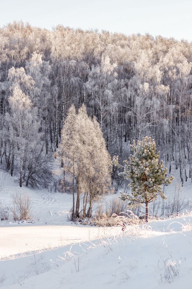 Photograph by Марина Слепова