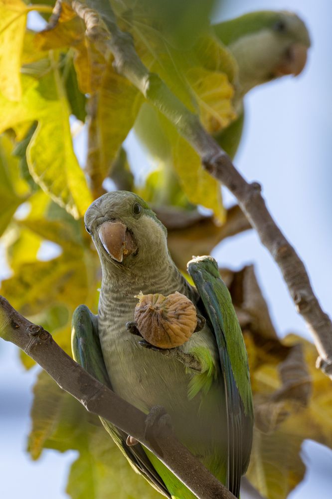 Photograph by David Bueno