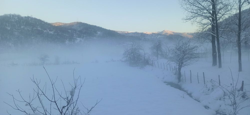 Photograph by Ольга