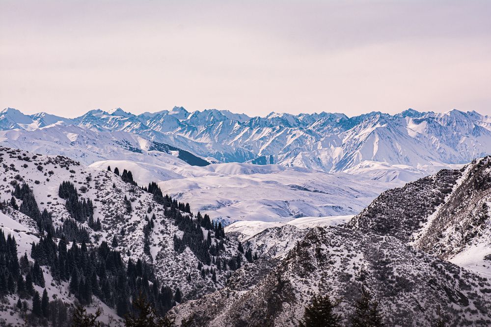 Photograph by Василий Шумкин