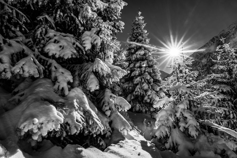 Photograph by Василий Шумкин