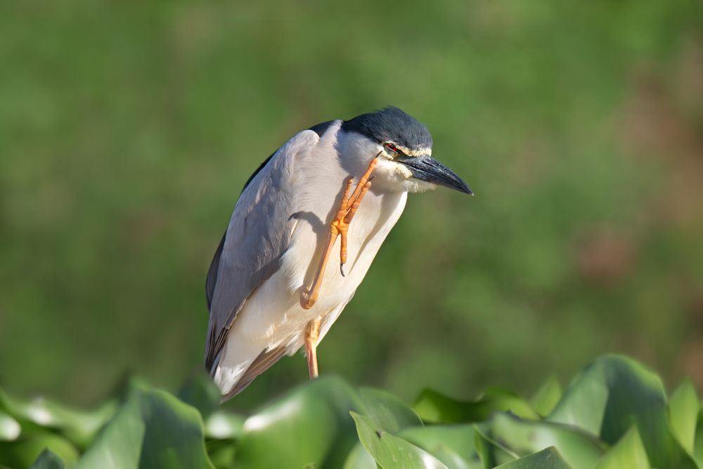 Photograph by Людмила Бекман