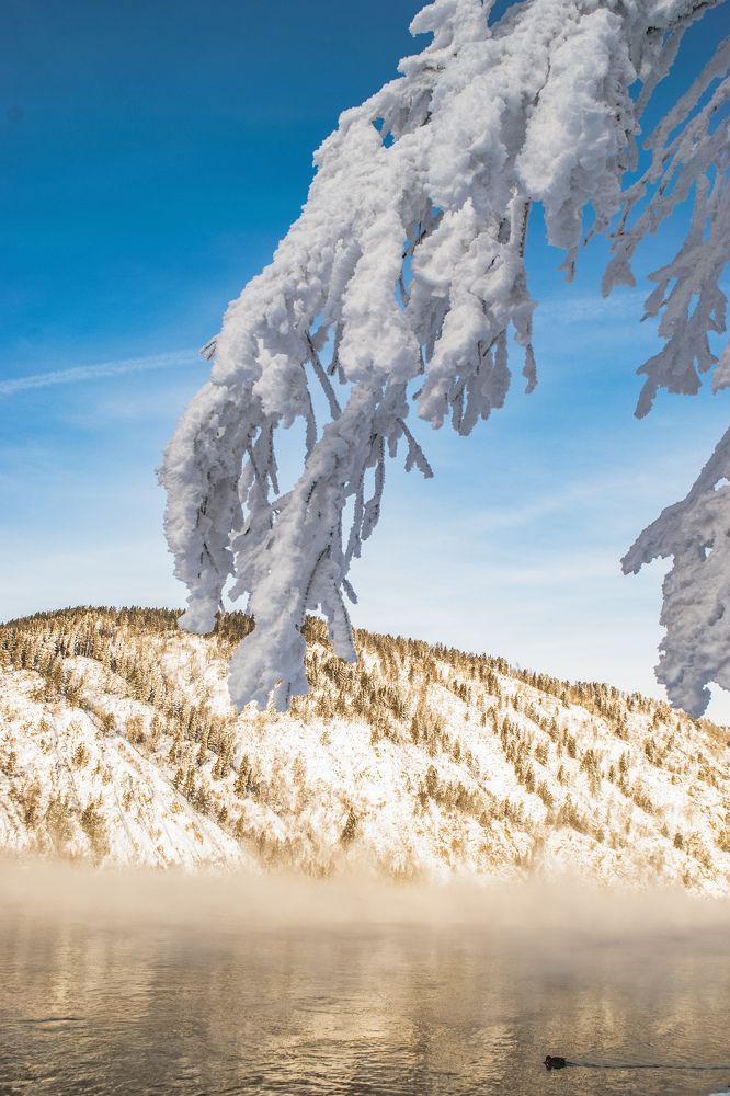 Photograph by Светлана Дмитриева