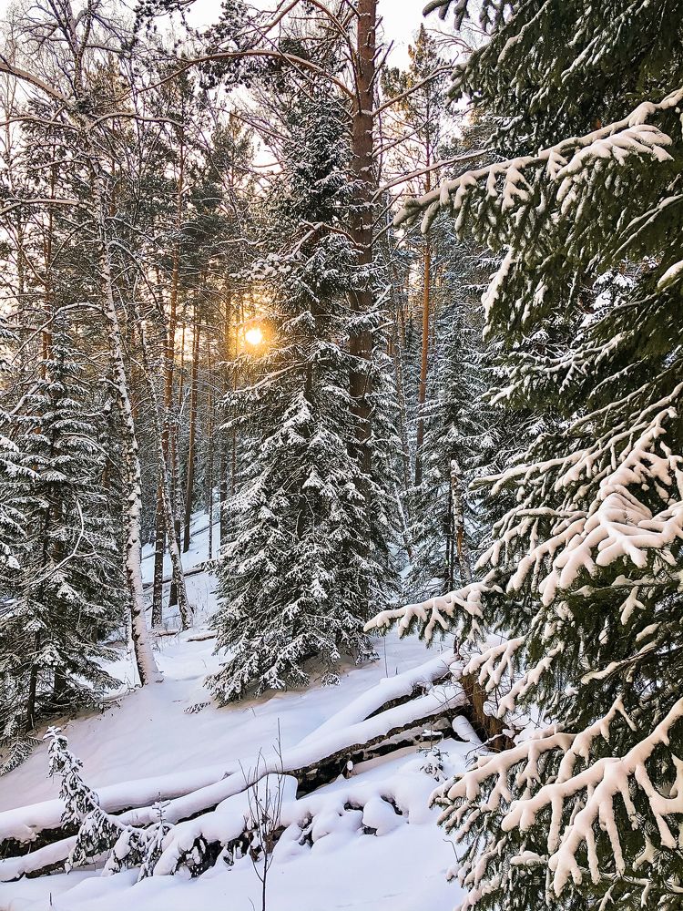 Photograph by Светлана Дмитриева