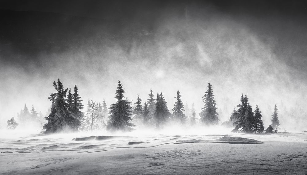 Photograph by Татьяна Бирюкова