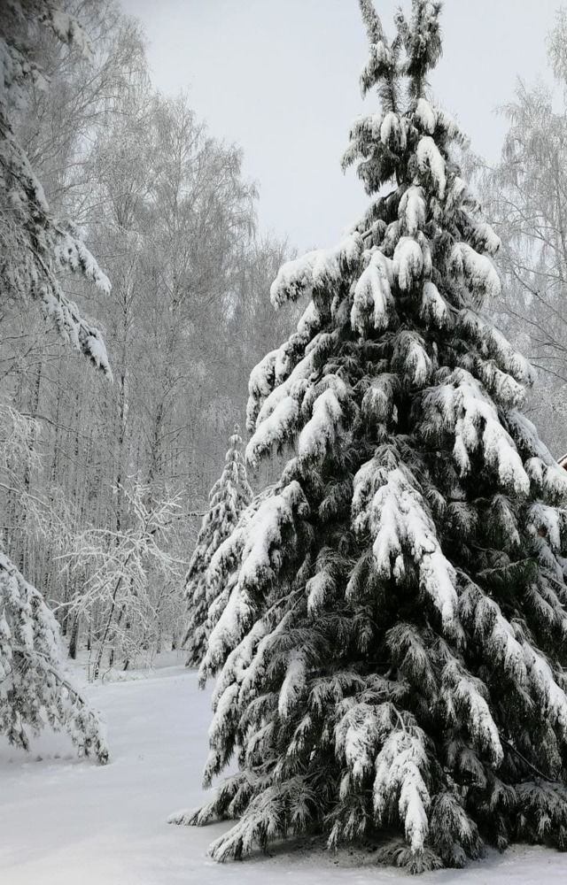 Photograph by Наталья Круглова