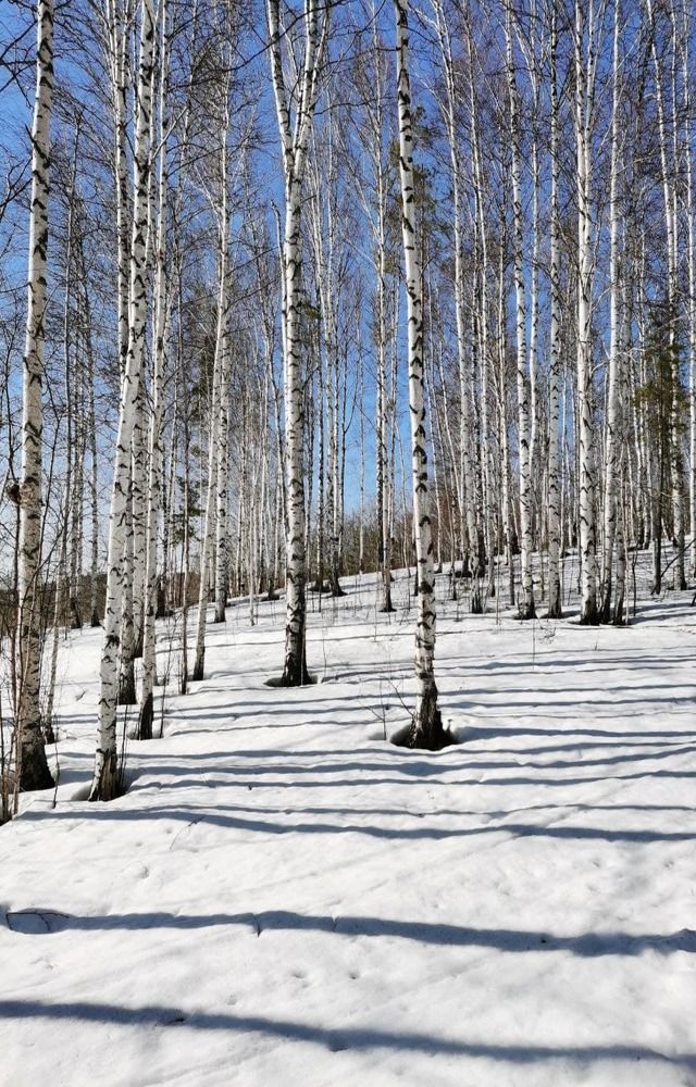 Photograph by Наталья Круглова