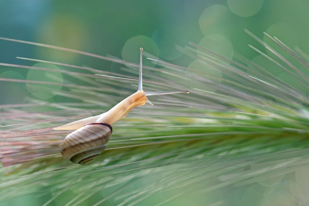 Photograph by Людмила Бекман