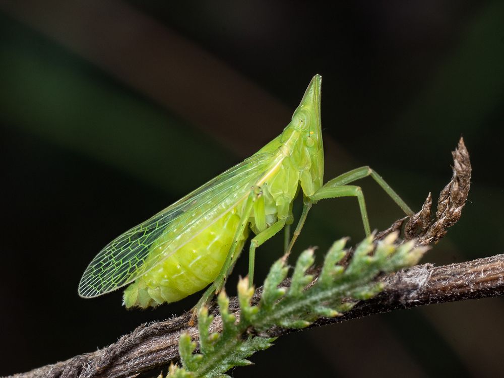 Photograph by Владимир Богданов