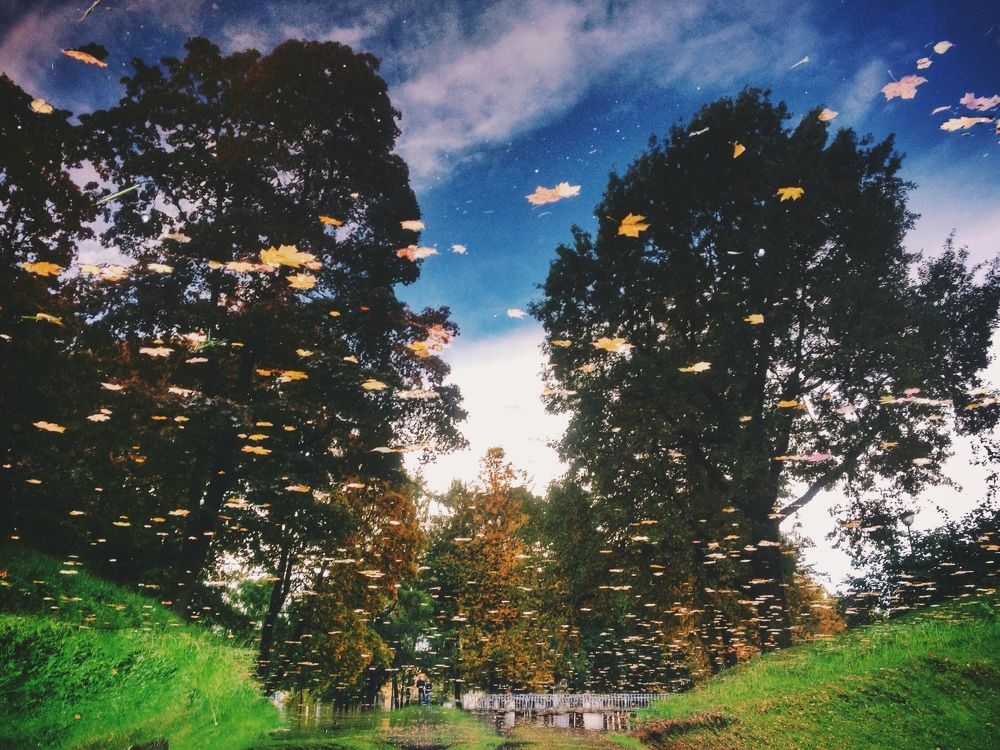 Photograph by Саша Жевлатов